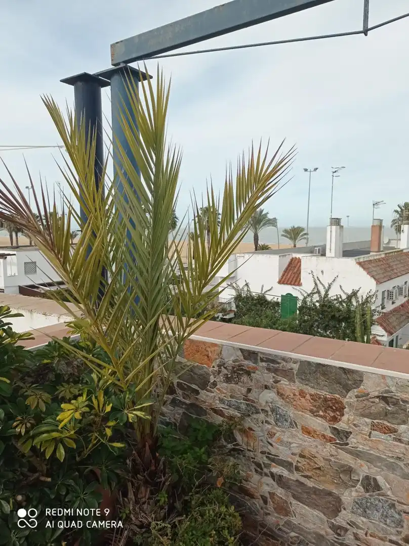 Detached homes for sale in V Centenario - Piletas - Capuchinos