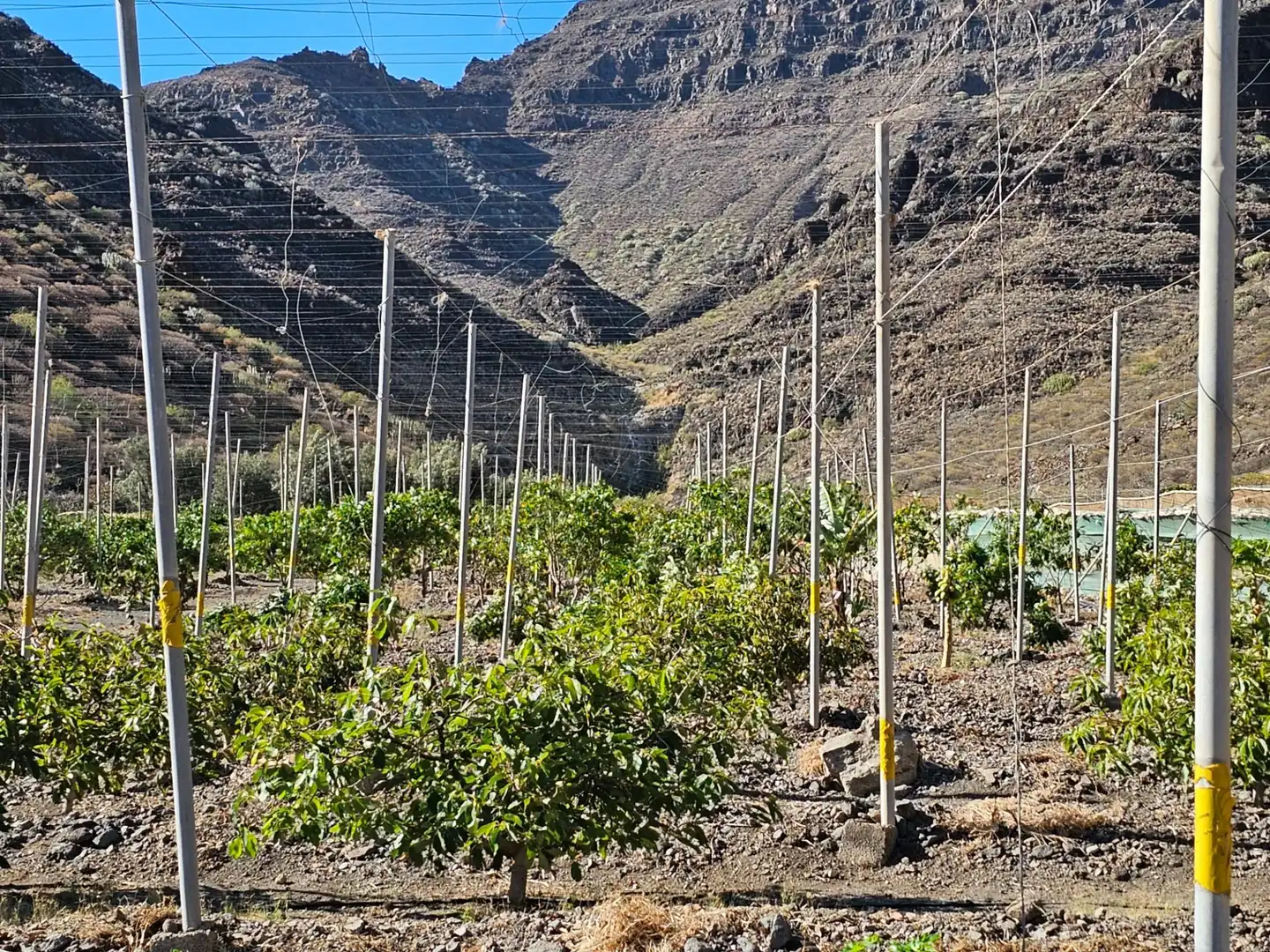Vista exterior de Finca rústica en venta en La Aldea de San Nicolás  con Jardín privado, Terraza y Trastero