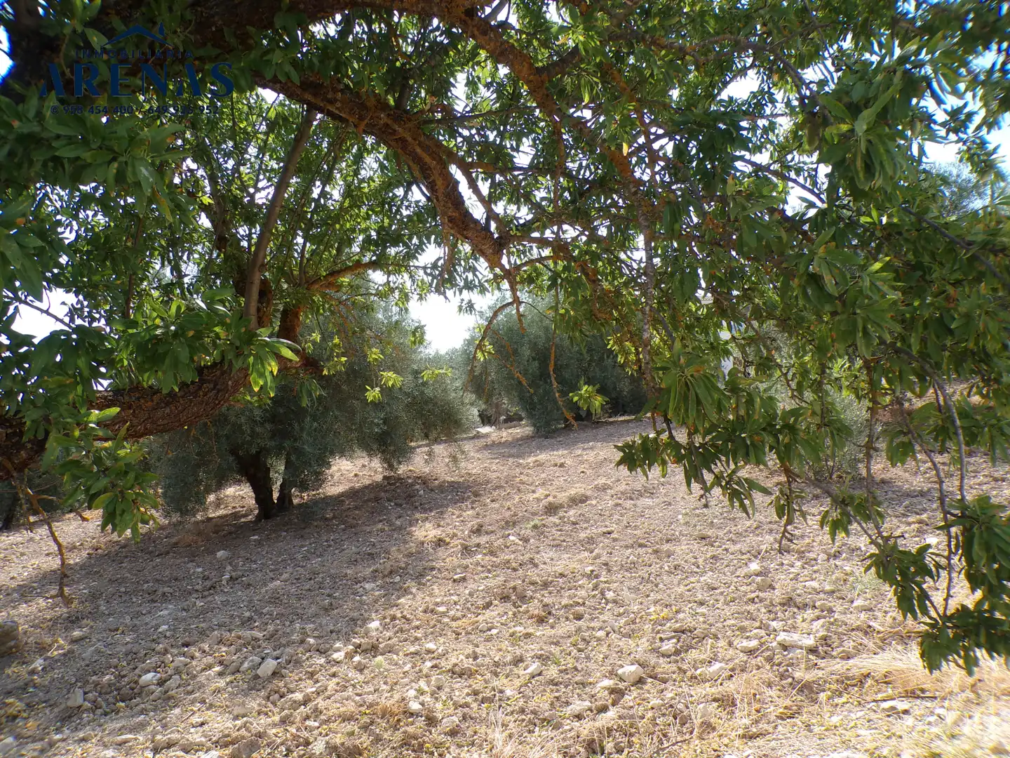 Terreno en venta en Loja