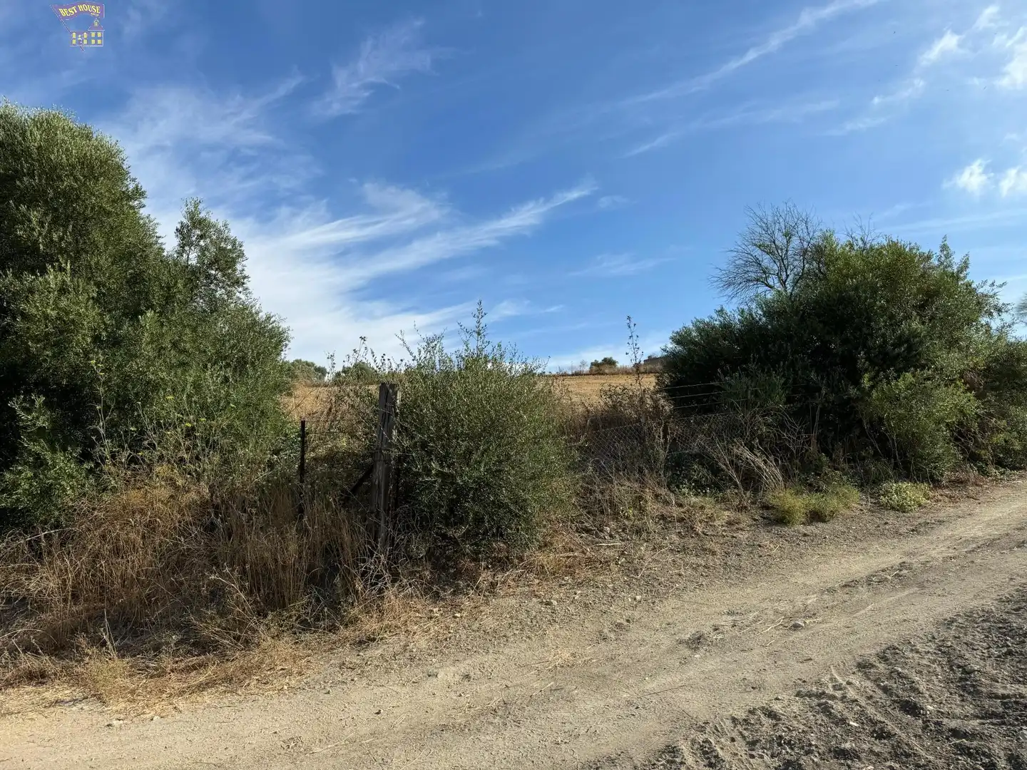 Terreny rústic en venda a Arcos de la Frontera, imagen 10