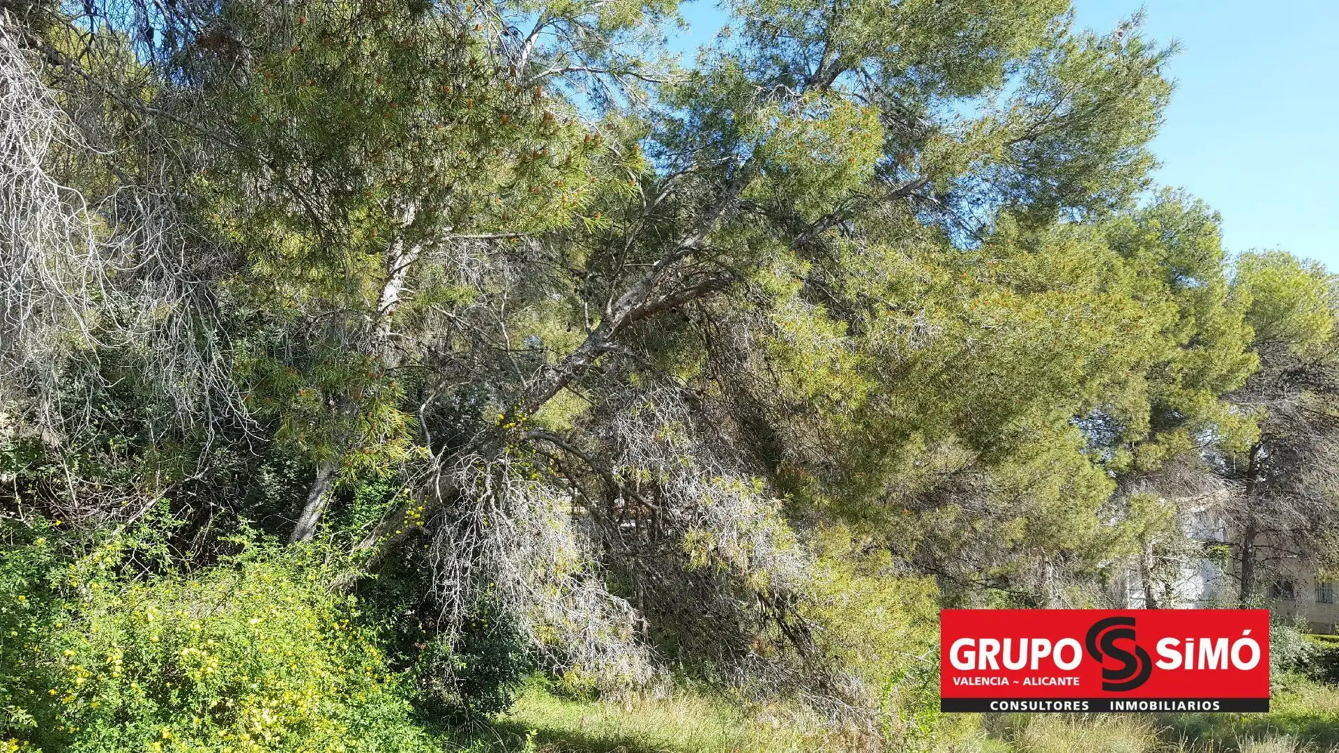 Wohnbaugrundstück zum Verkauf in El Vedat - Santa Apolonia, imagen 6