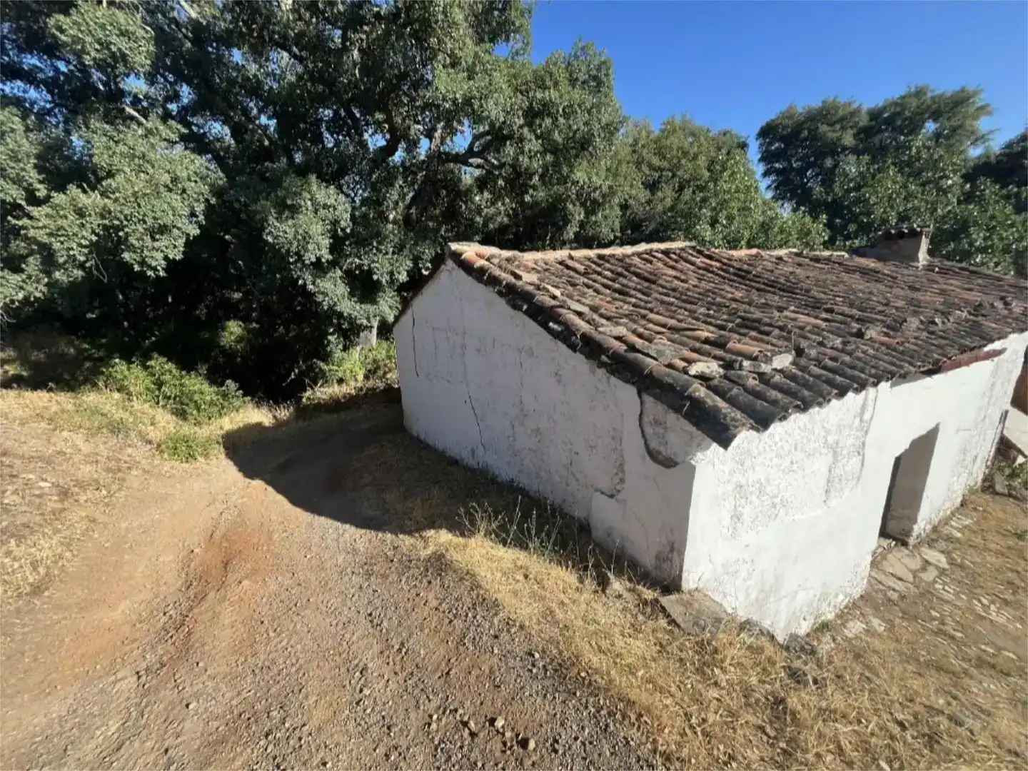 Vista exterior de Finca rústica en venta en Jabugo