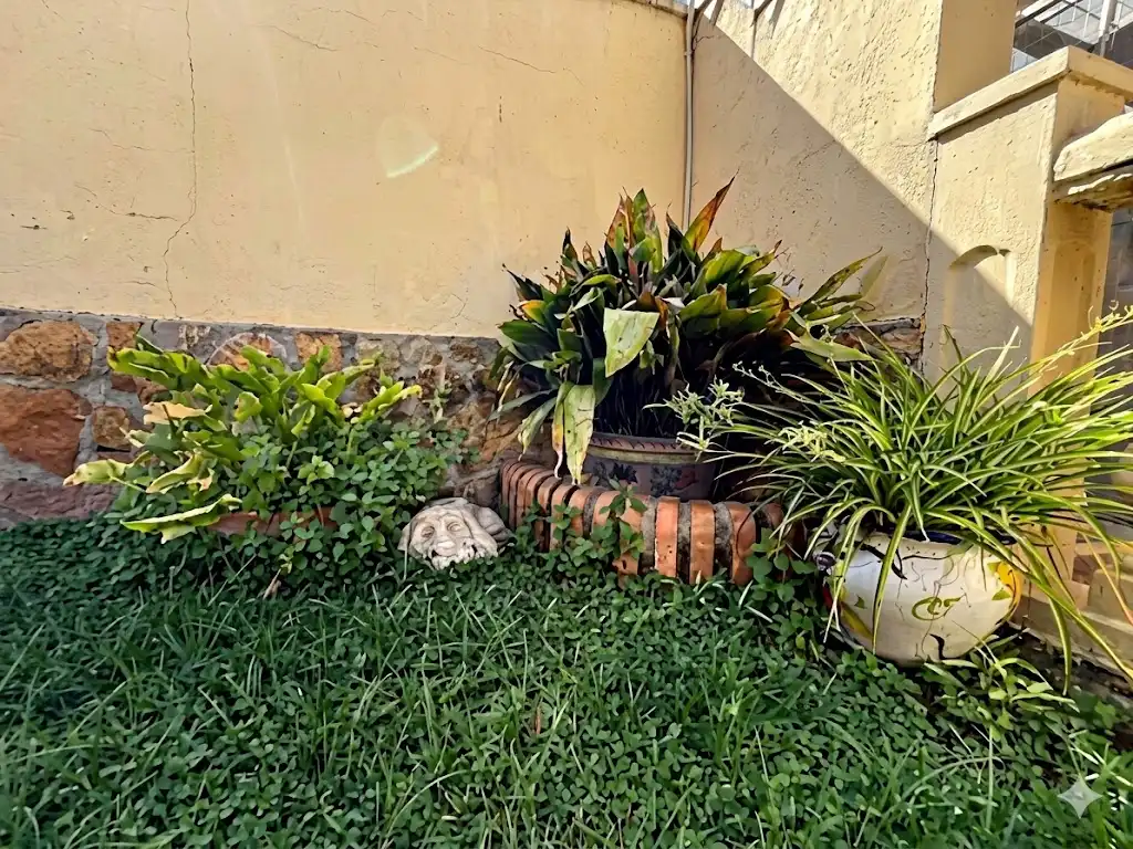 Jardín de Casa o chalet en venta en L'Eliana con Aire acondicionado, Jardín privado y Piscina