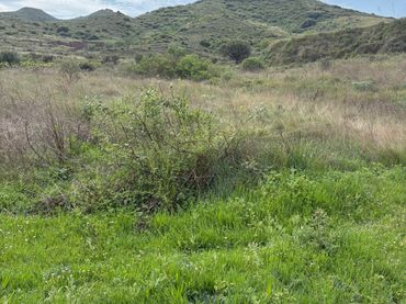 Terreno rustico in vendita a Lardero