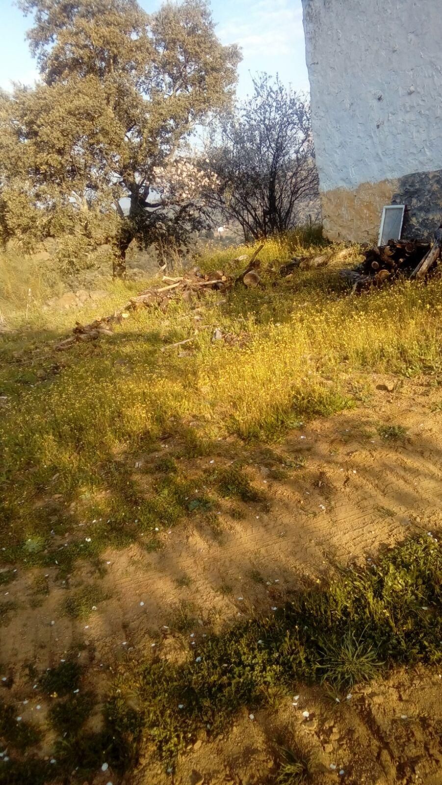 Country house for sale in Obejo