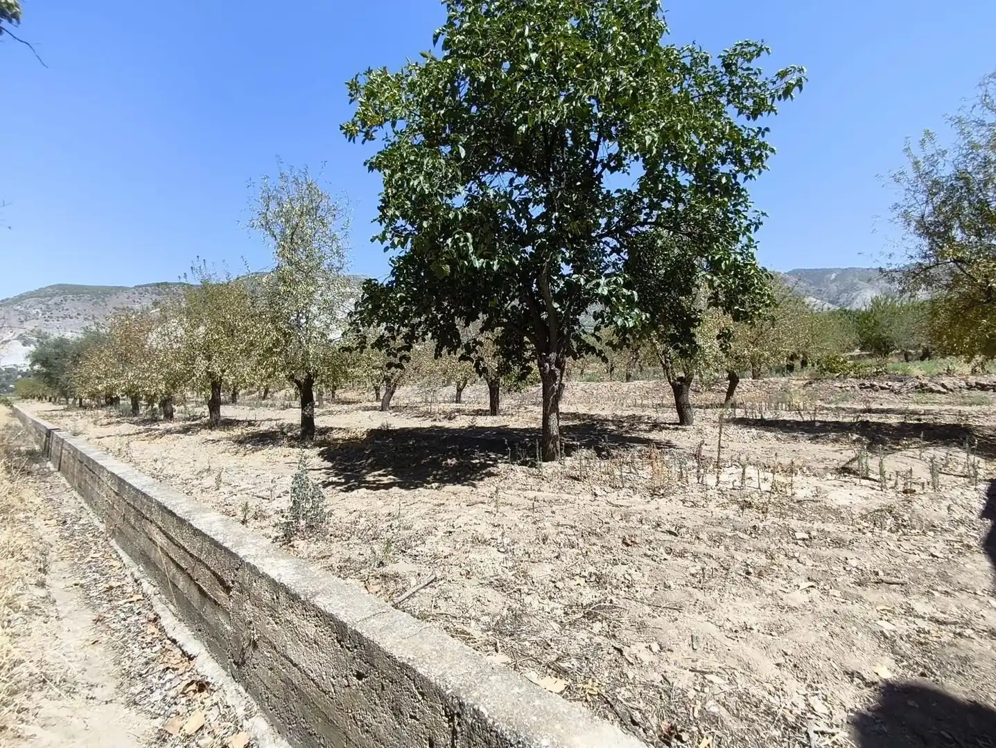 Rural land for sale in 2C55+9GC Cozvijar 0, imagen 25