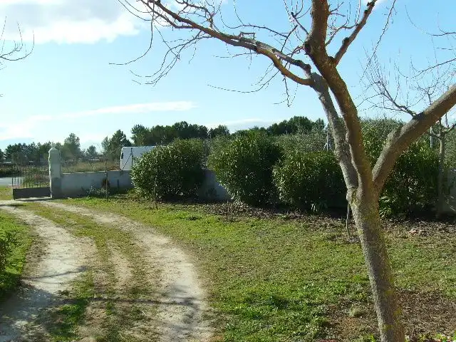 Land for sale in Vila-rodona