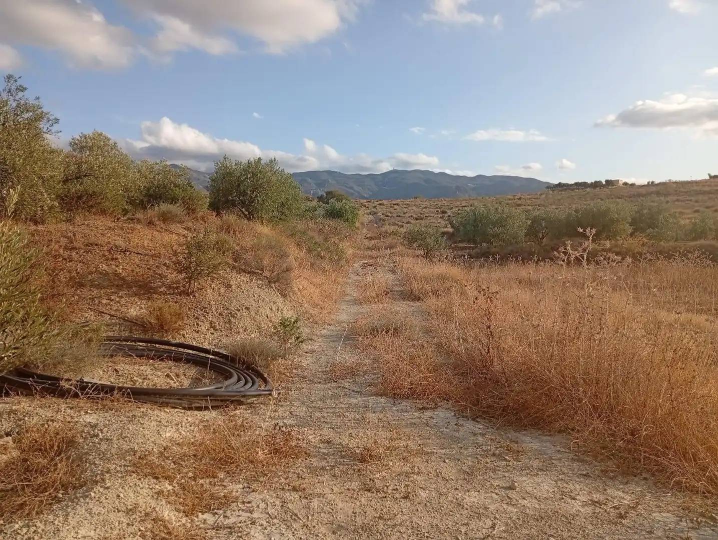 Terrenys i solars en venda a Los Gallardos, imagen 6
