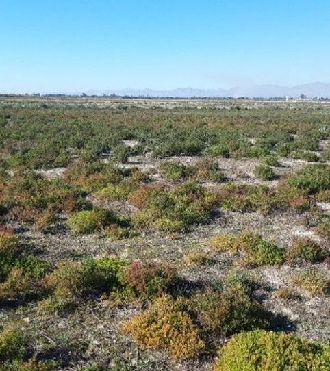 Foto 2 de Finca rústica en venta en Centro, Elche / Elx