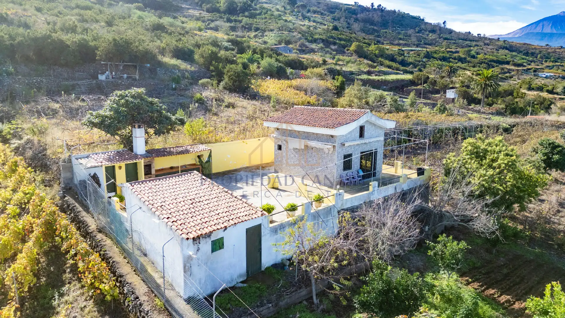 Vista exterior de Finca rústica en venda en Santa Úrsula amb Terrassa