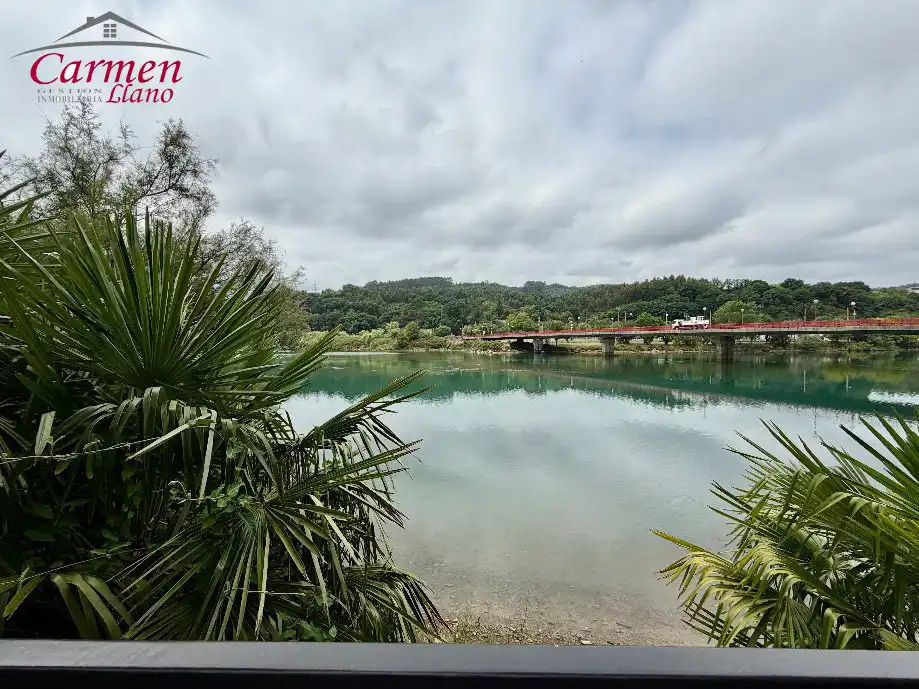 Vista exterior de Casa o chalet en venta en Plentzia con Calefacción, Jardín privado y Terraza