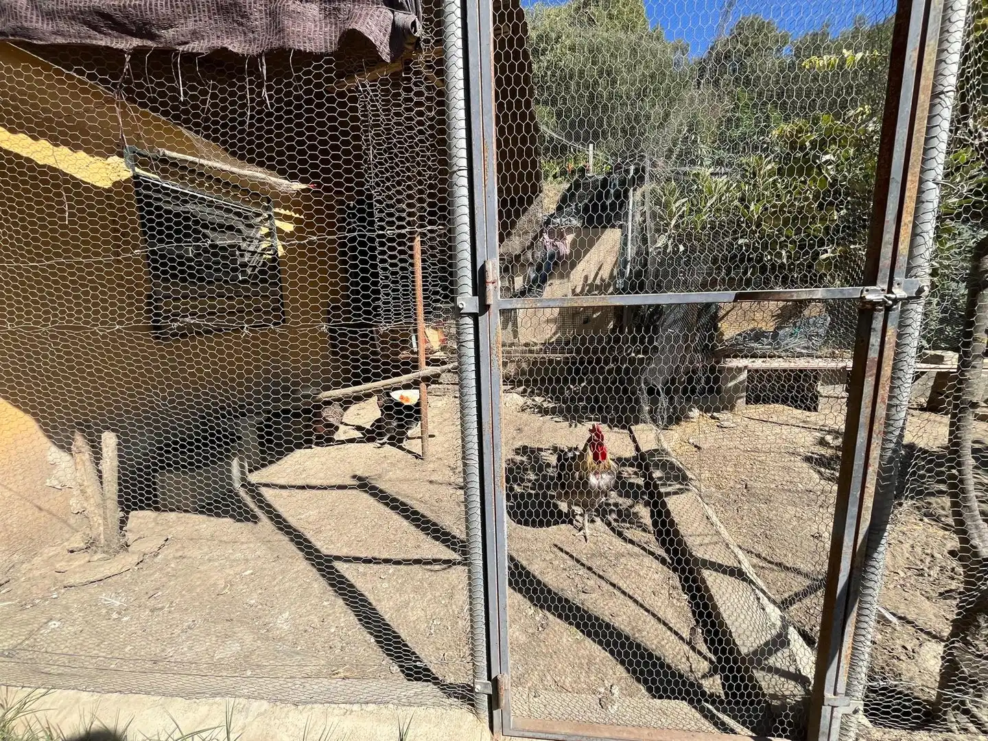 Vista exterior de Finca rústica en venta en Dúrcal con Jardín privado, Terraza y Amueblado