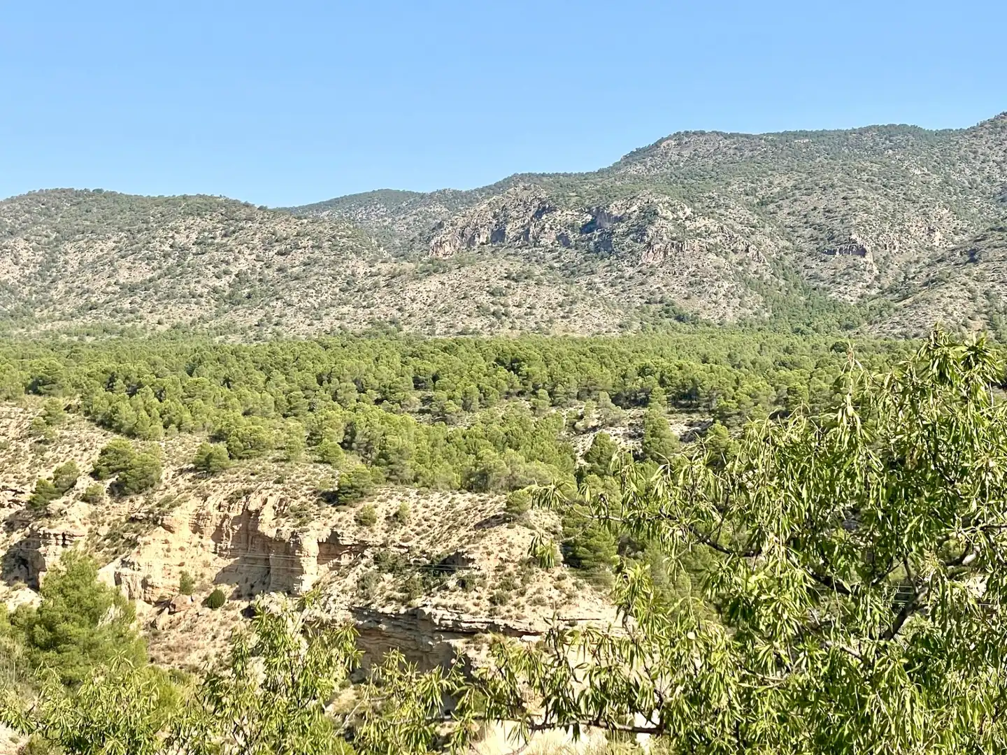 Exterior view of Houses for sale in Caravaca de la Cruz  with Air Conditioner, Private garden and Terrace