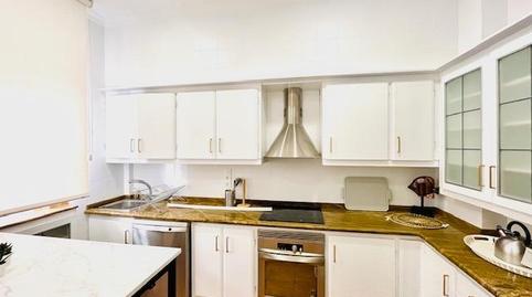 Photo 2 of Flat to rent in Orihuela ciudad, Orihuela