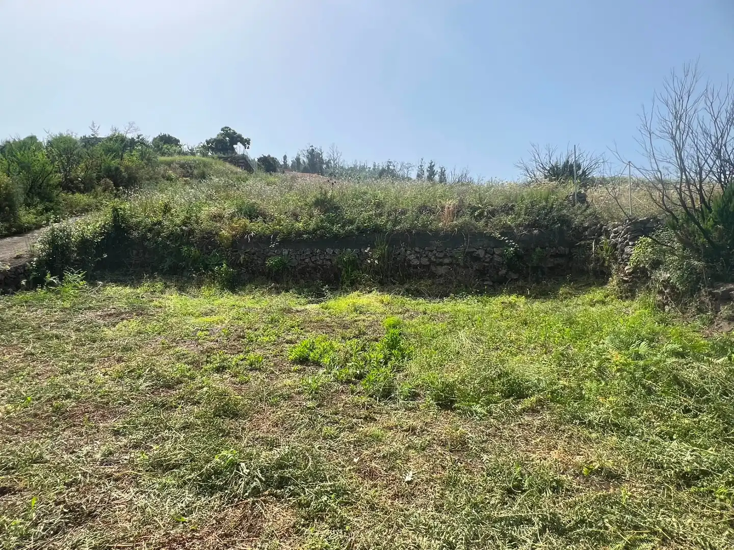Terreno rústico en venta en Carretera Nueva Corujera, imagen 18