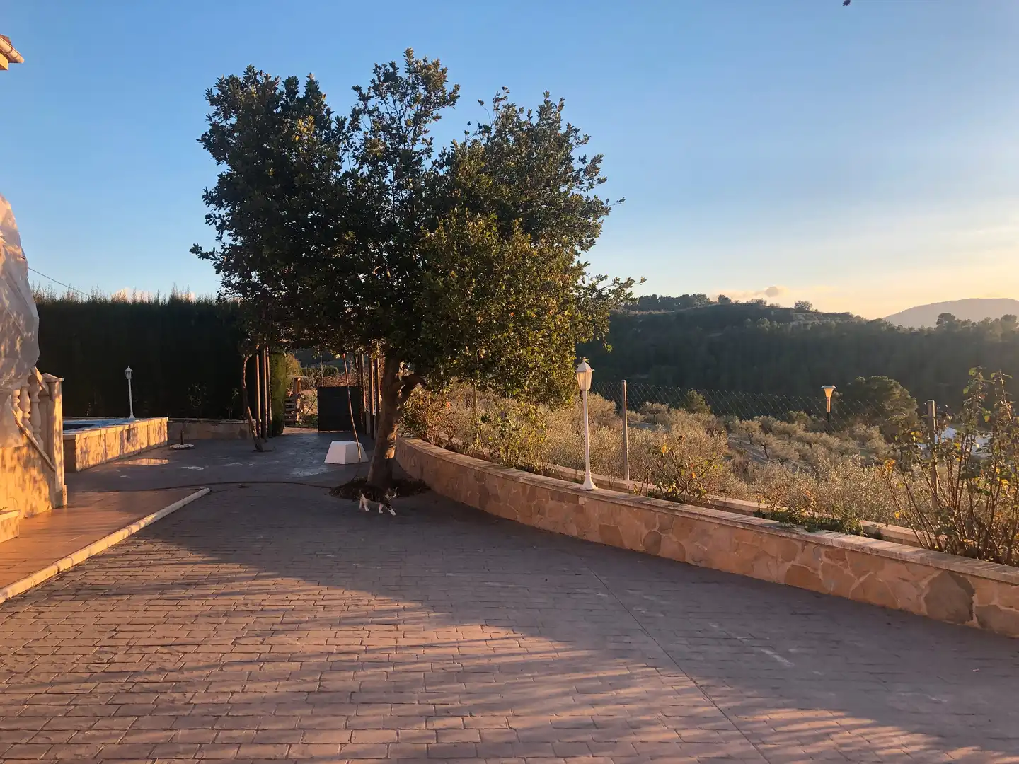 Chalet con piscina en venta en Benillup, imagen 11