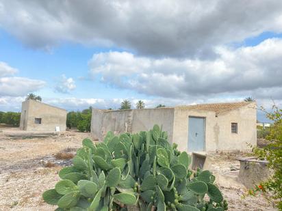 Casa o xalet en venda en Elche / Elx