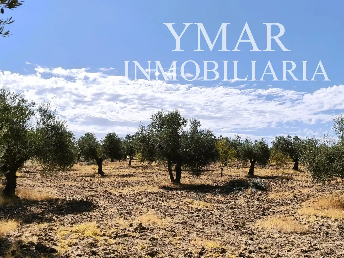 Land for sale in Santo Domingo-Caudilla