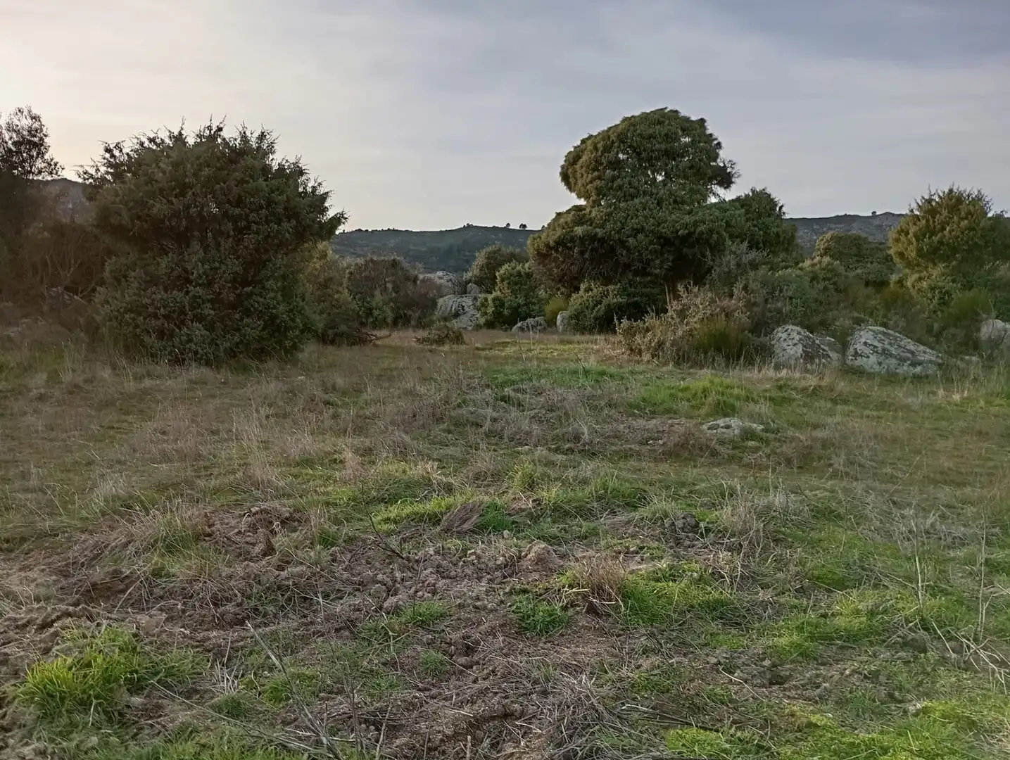 Terreno rustico in vendita a Fresnedillas de la Oliva, imagen 11