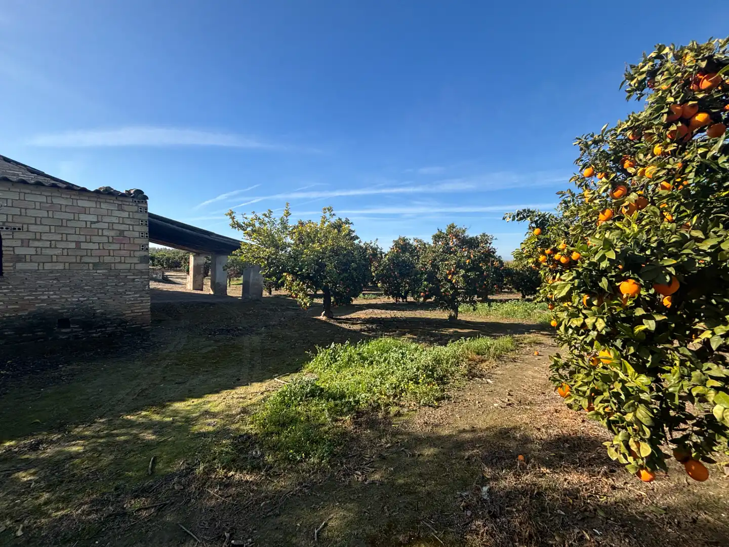 Land for sale in Sanlúcar la Mayor