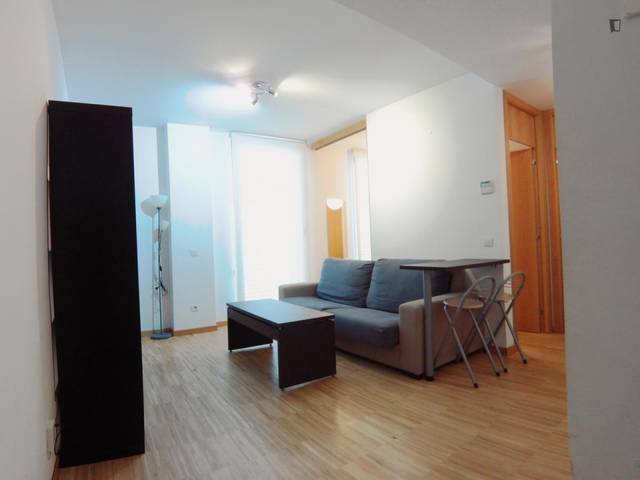 Apartamento en Alquiler en Cortes - Huertas