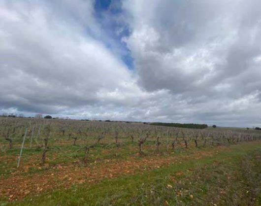 Terreno residencial en Venta en Chozas de Abajo