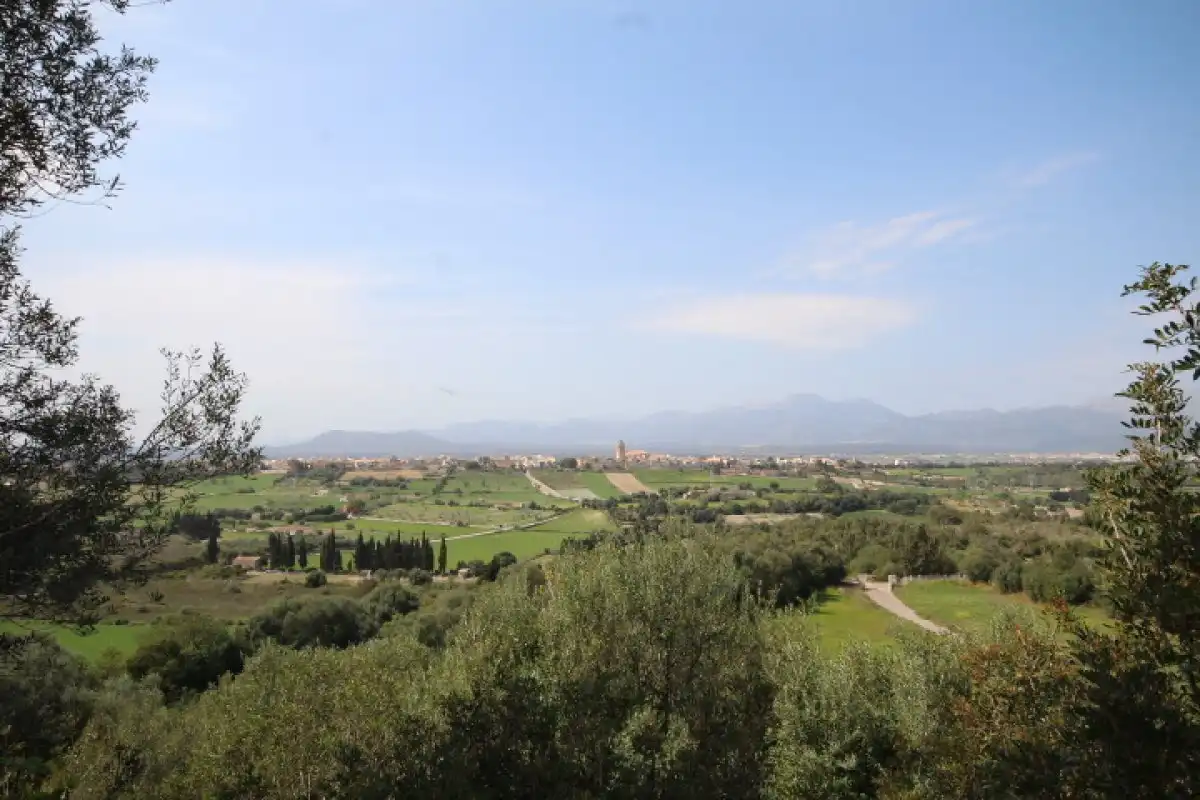 Casa con terrazza in vendita a Muro, imagen 12