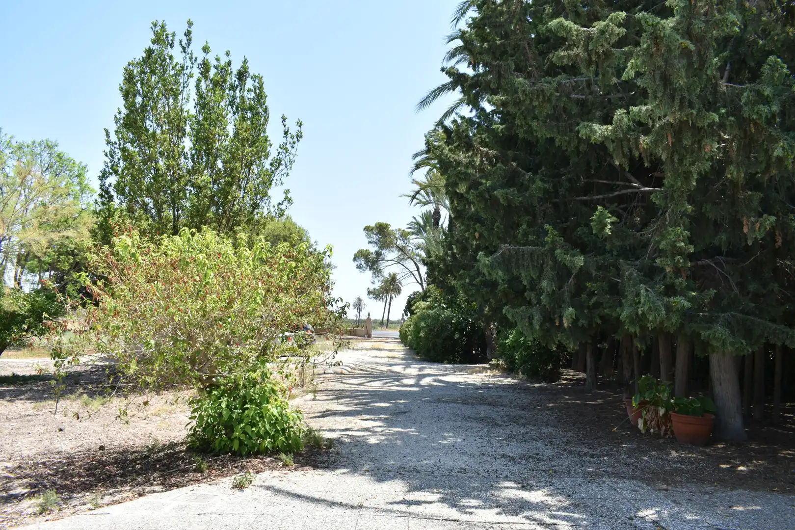 Vista exterior de Casa o chalet en venta en Elche / Elx con Jardín privado y Amueblado