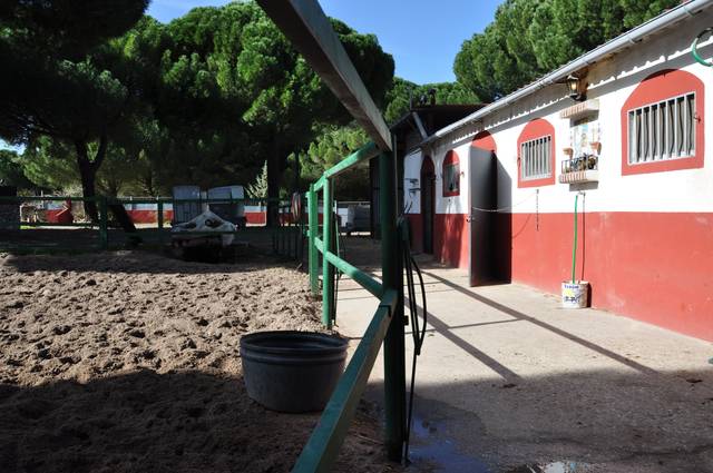 Terreno en Venta en Tudela de Duero
