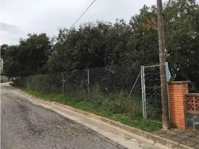 Terreno rústico en venta en C/ Sant Felip, imagen 6