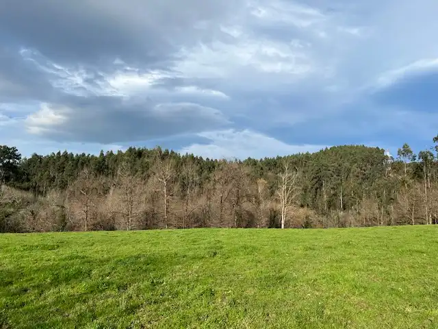 Land for sale in Lezama