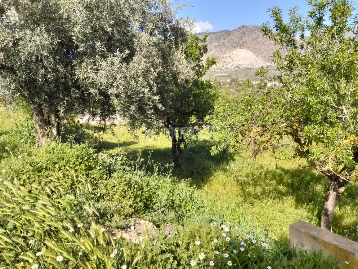 Rural land for sale in Dúrcal, imagen 6