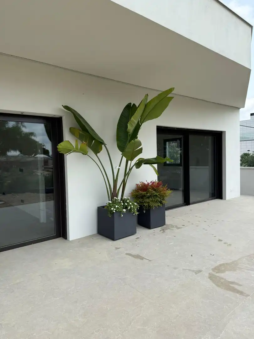 Villa con giardino in vendita a Calle MONTARDO, imagen 5