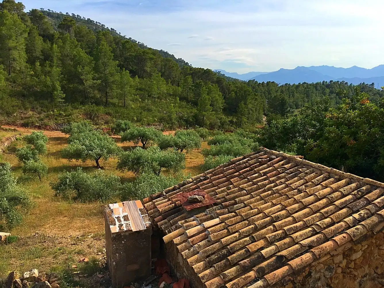 Country homes for sale in Benifallet