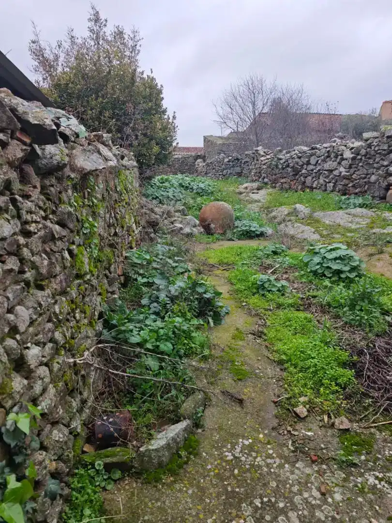 Vista exterior de Casa o chalet en venta en Salvatierra de Santiago con Jardín privado y Amueblado