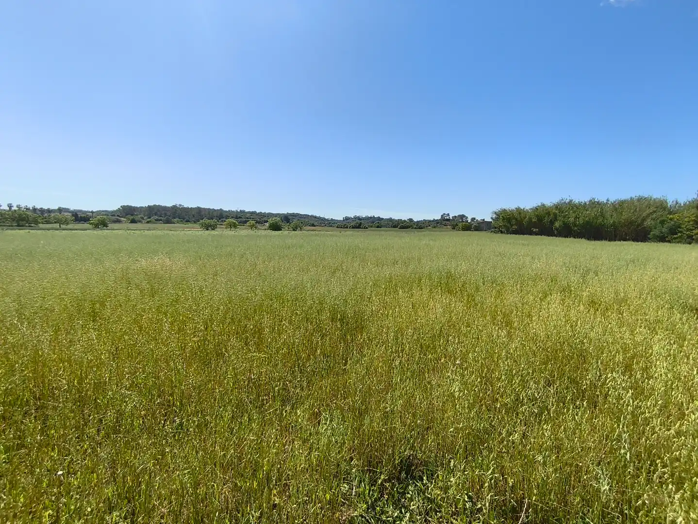 Terreno rustico in vendita a Maria de la Salut, imagen 10