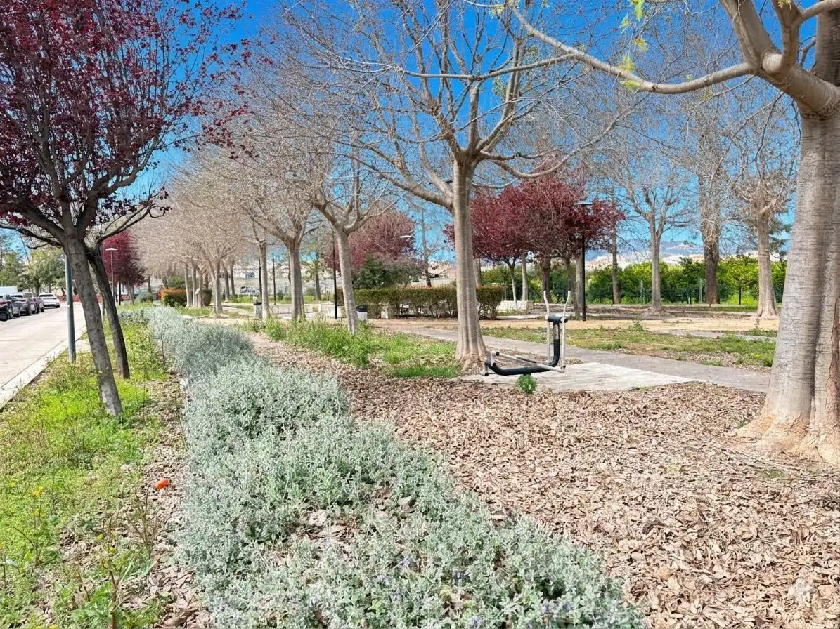 Terreno residencial en venta en Palmera, imagen 12