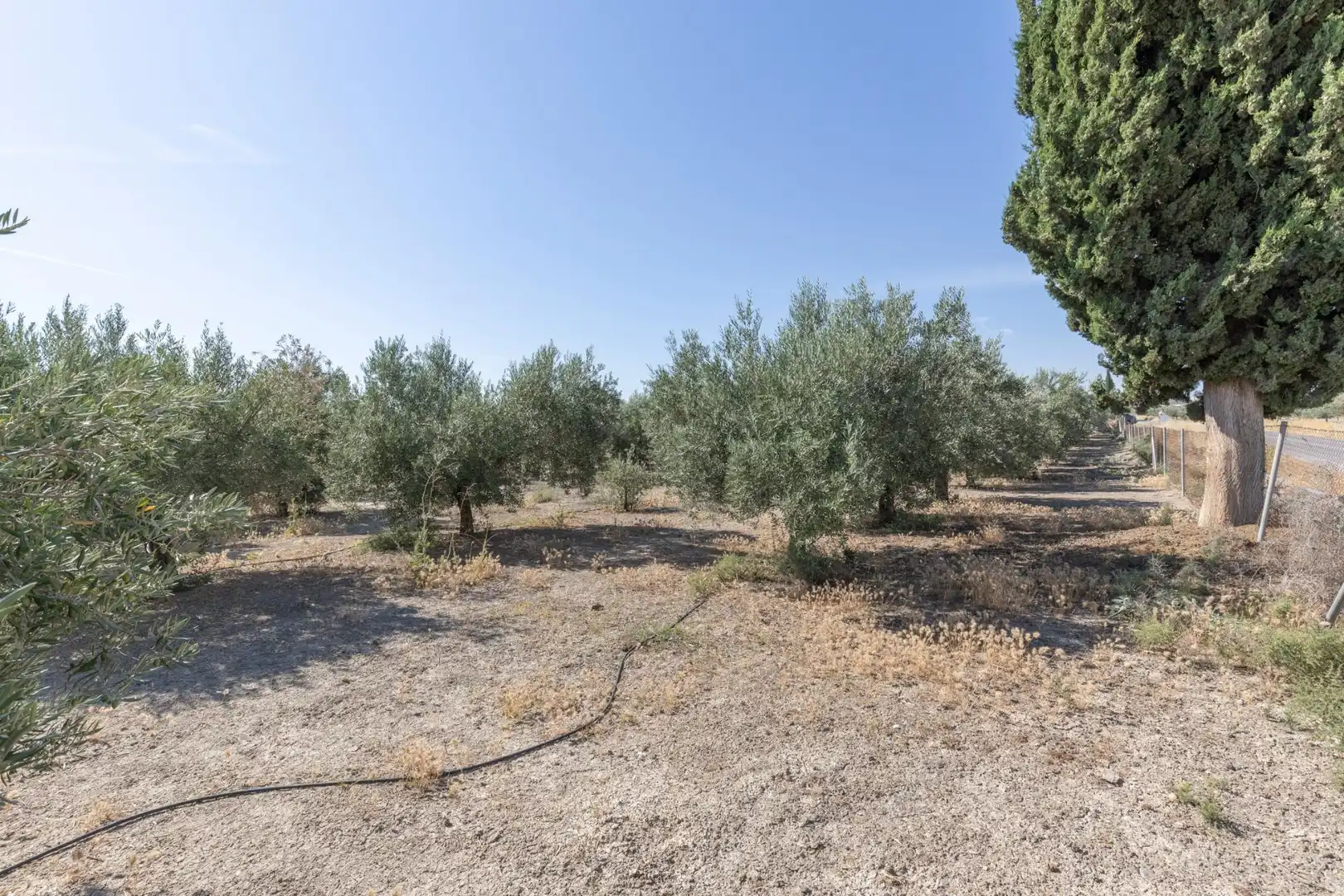 Lands and plots for sale in DISEMINADOS, imagen 6