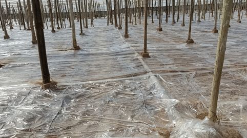 Foto 2 de Terreno en venta en Poligono Sector R-8, 59, Balanegra, Almería