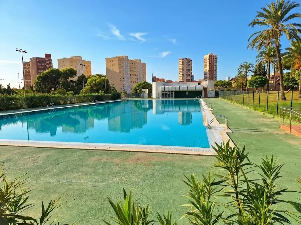 Swimming pool of Study for sale in Juzgados - Plaza de Toros