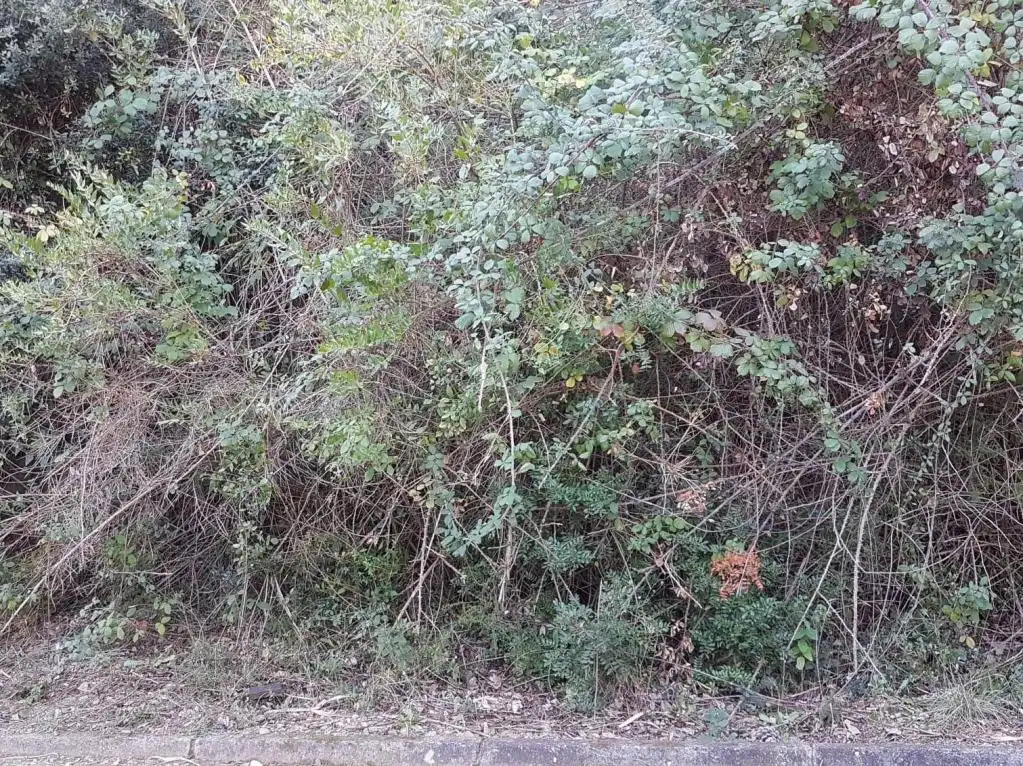Terreno rústico en venta en MIRADOR DE MONTSERRAT, imagen 4
