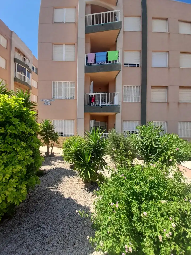 Wohnungen zur Miete in Torrevieja, Alicante