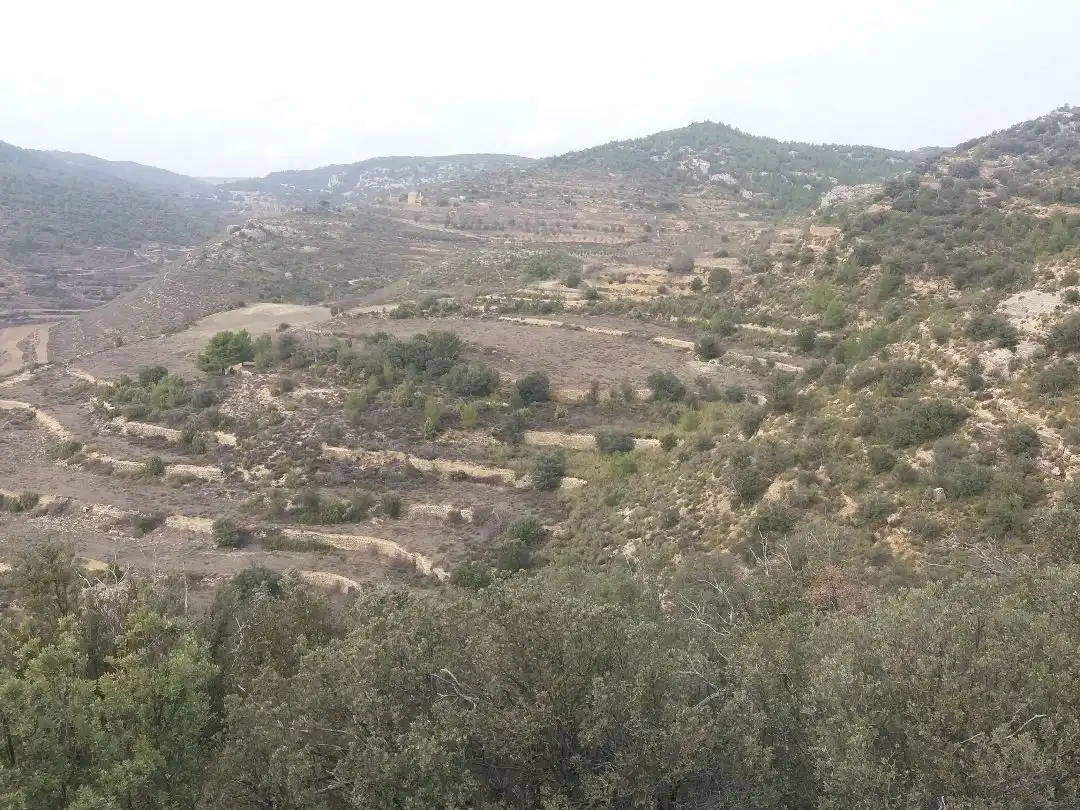 Terreno en venta en Todolella