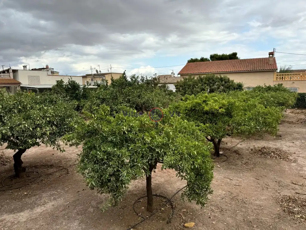 Casa o chalet en venta en La Viña