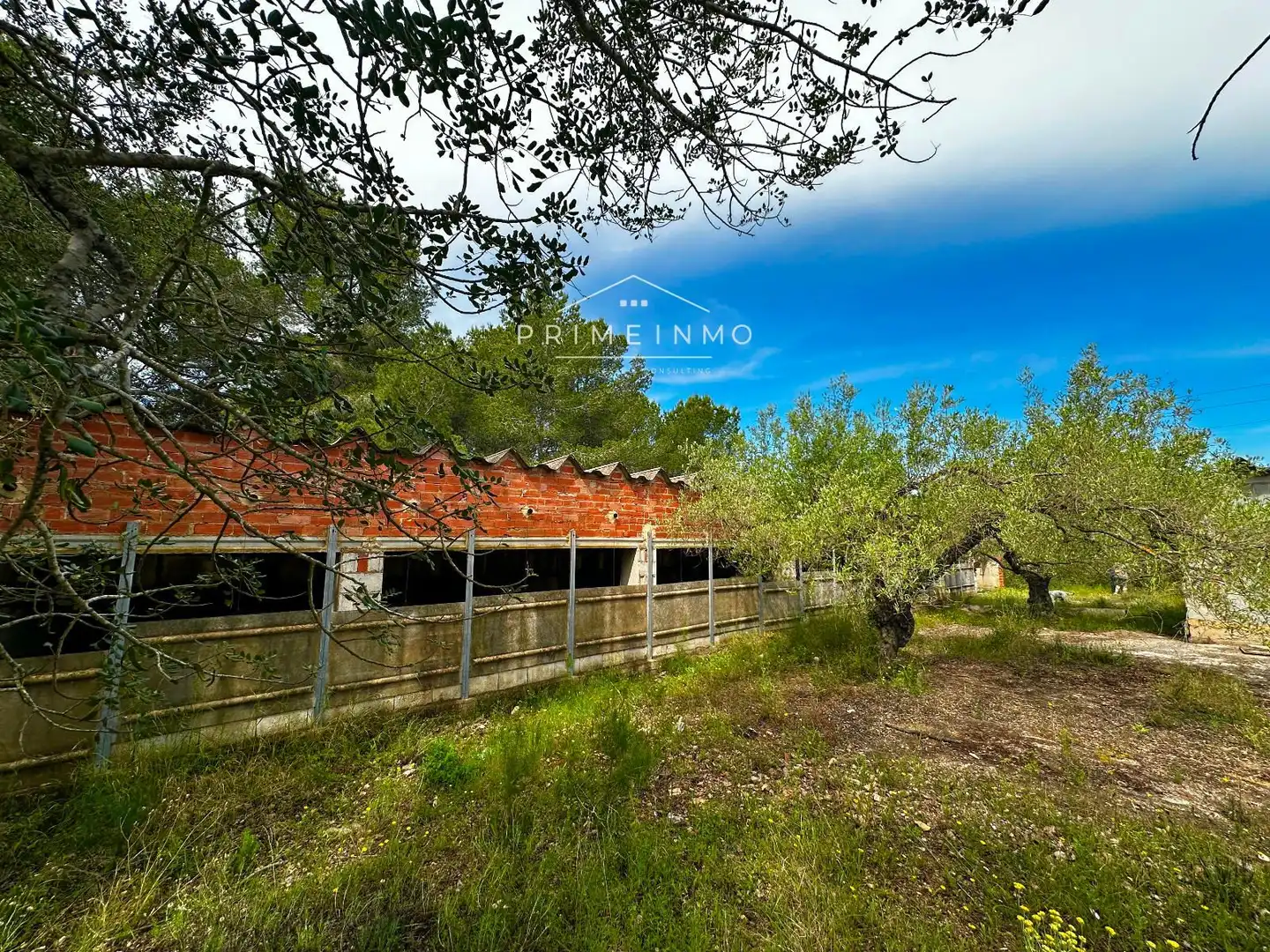 Terreno rústico en venta en Tivissa, imagen 41