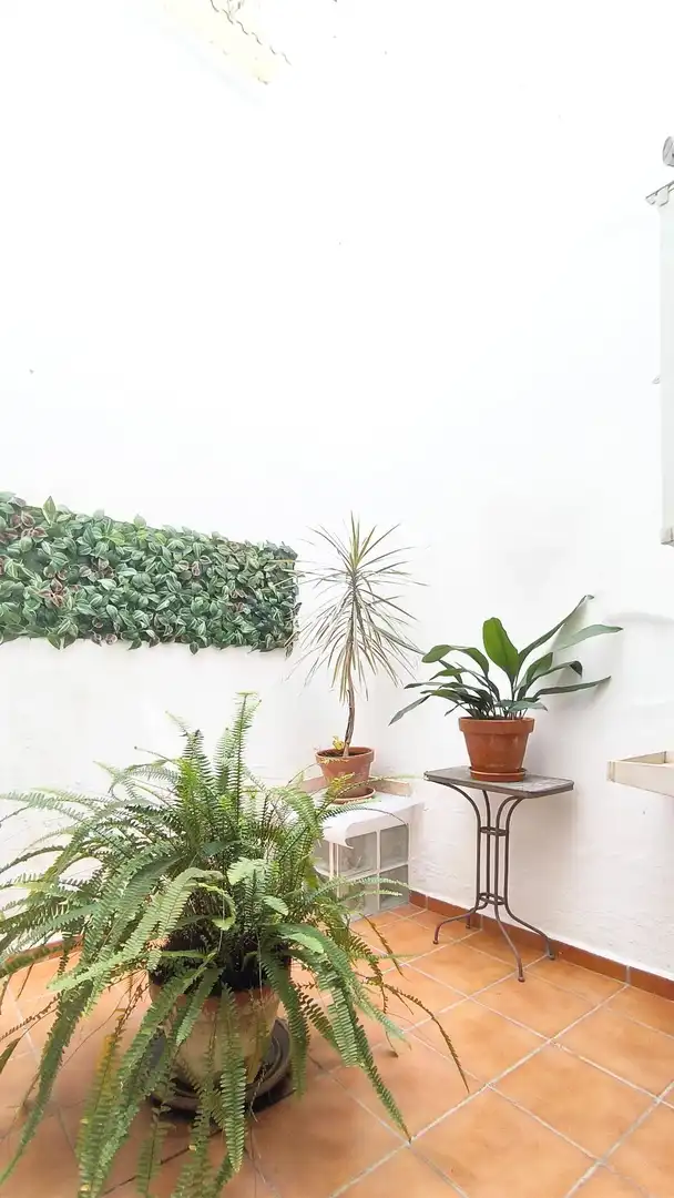 Garden of Detached homes for sale in Xàtiva  with Air Conditioner, Heating and Terrace