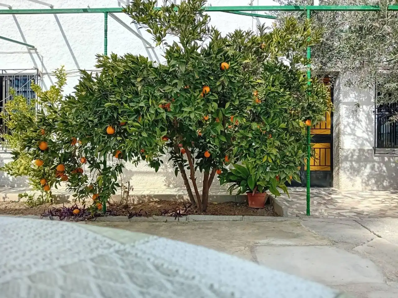 Vista exterior de Finca rústica en venda en Villanueva Mesía amb Jardí privat i Terrassa