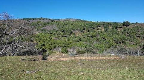 Foto 5 de Finca rústica en venda a Calera de León, Badajoz