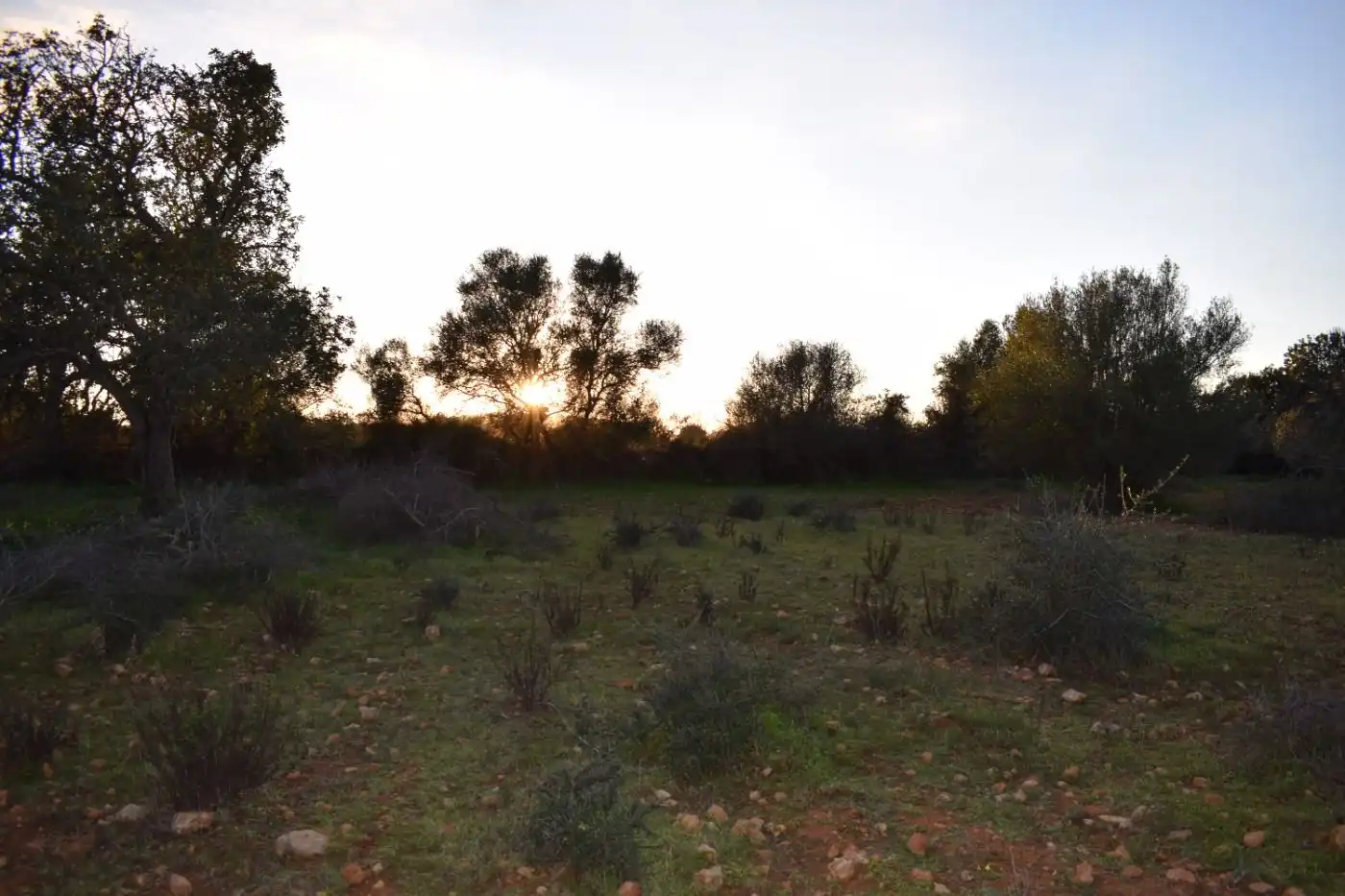 Terreno rústico en venta en Porreres, imagen 13