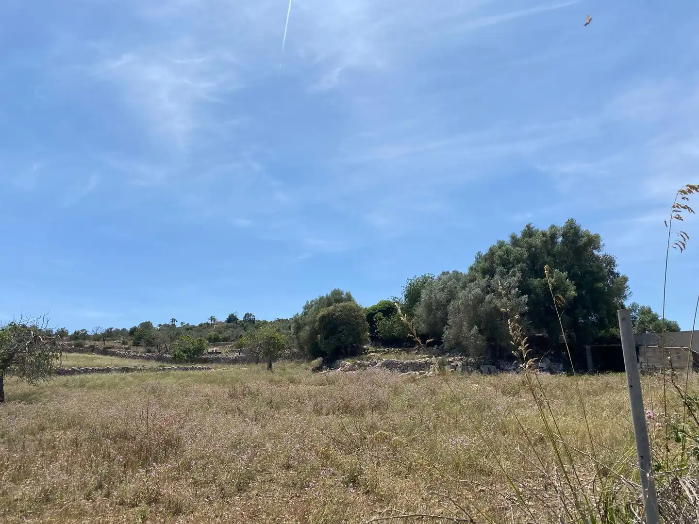 Grundstücke und Bauplätze zum Verkauf in Zona d'Interior, imagen 6